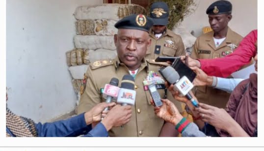 NDLEA intercepts 230,600 Tramadol tablets, arrests 106 suspects in Kano Abubakar idris Ahmad