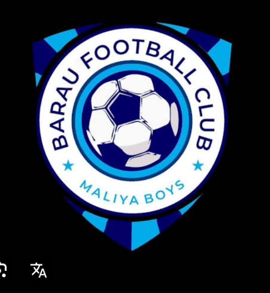Kano to have two teams in premiership Barau fc logo