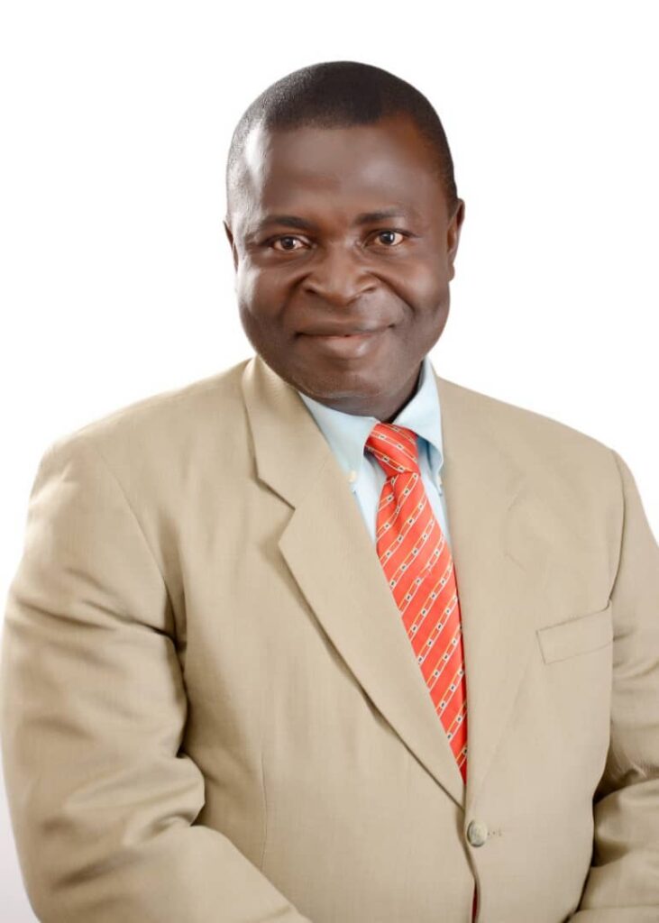 Nigeria’s efforts to attract diaspora funds Byron Isi