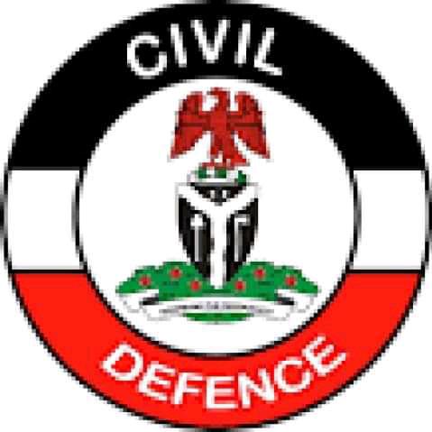 NSCDC treats 5,778 criminal, civil cases in Kano Civil Defence