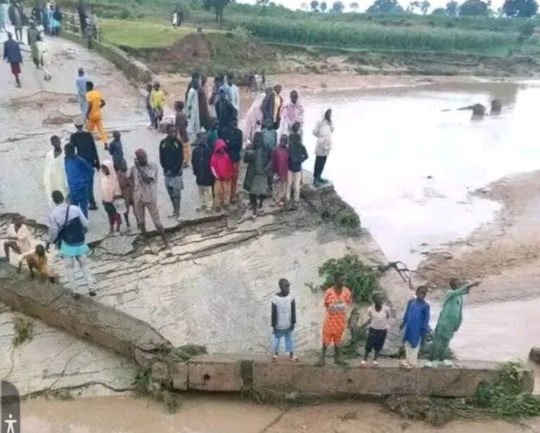 Rogo Youths in Kaduna urged Intervention on Infrastructure Collapsed Bridge