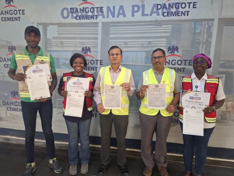 Dangote IMS Team