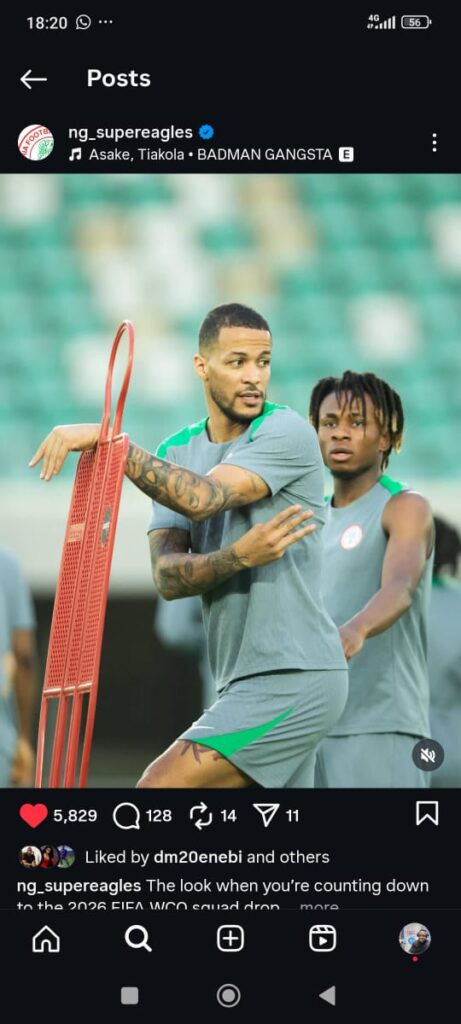 2026 FIFA World Cup Qualifying Matches: Chelle picks Ekong, Iwobi, Osimhen, 28 others in provisional list of 31 Ekong, Iwobi,