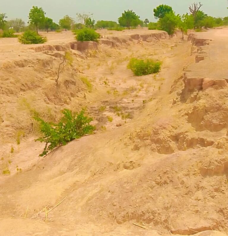 Romi-Dawakin Tofa Road: An Appeal for Construction Erosion Romi Road