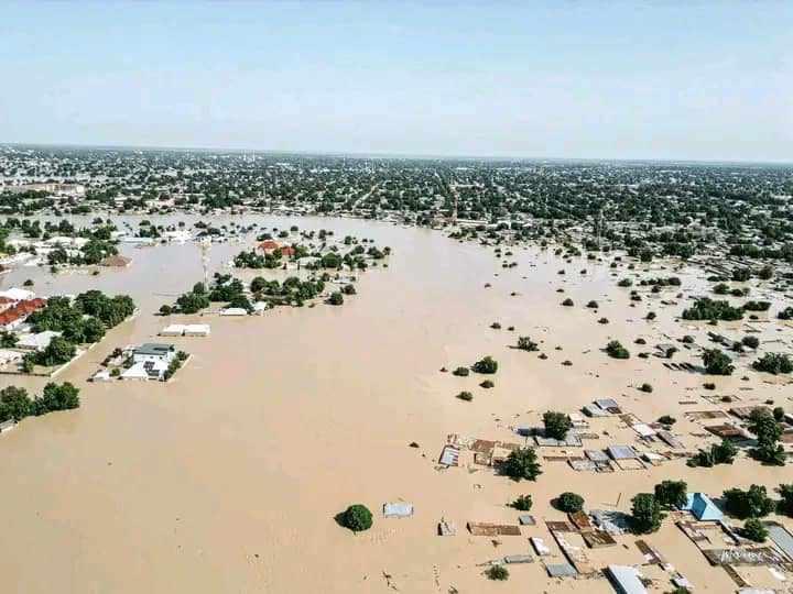 Floods hit Maiduguri zoo, animals suddenly break free Flood area Maiduguri
