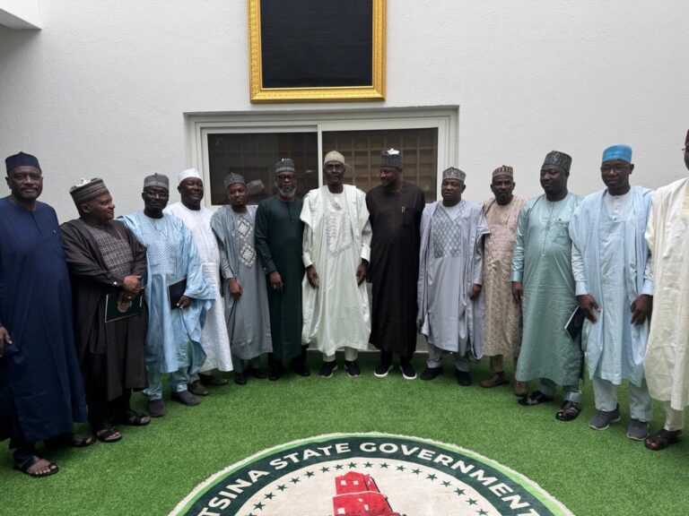 Gov,Radda,Senators and House of Representatives