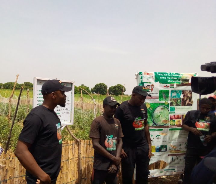 HortiNigeria moves to control Tuta absoluta in Kano HortiNigeria