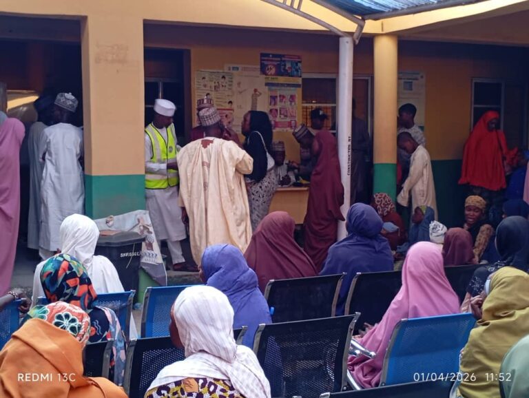 NGO Provides Free Eye Care and Circumcision for Orphans in Kano Kashe Kwabo Foundation Medical Outreach
