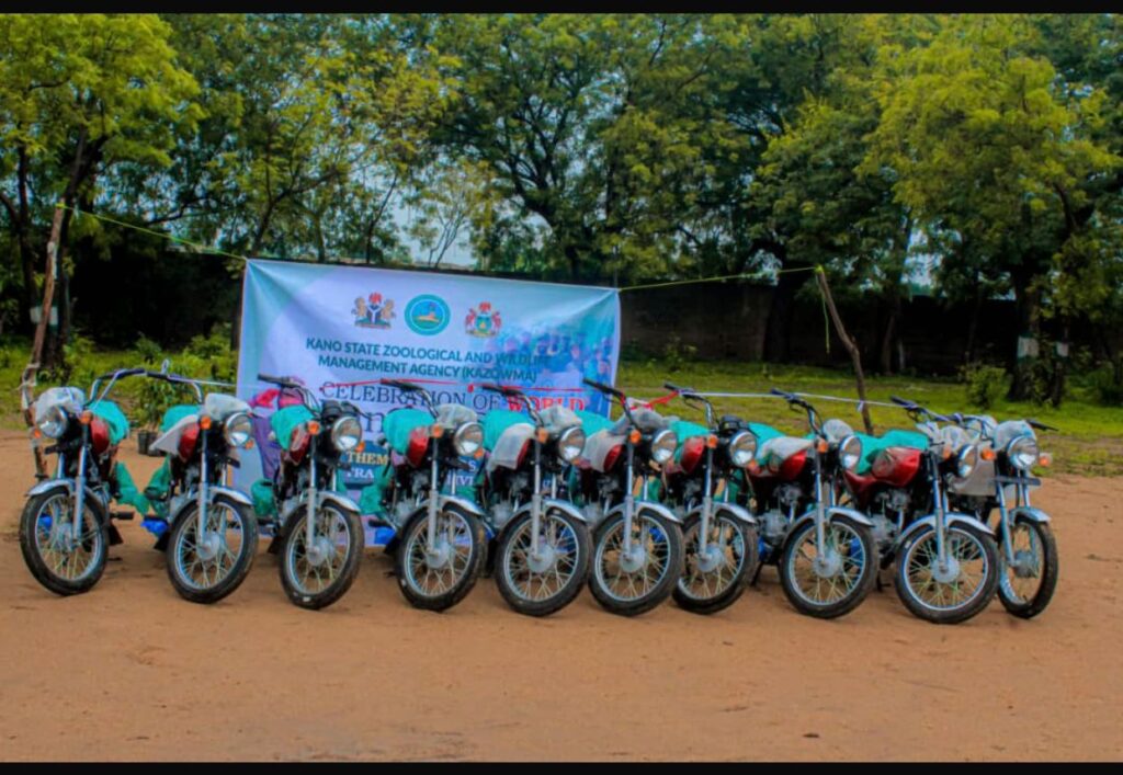 Motorcycles Motorcycles
