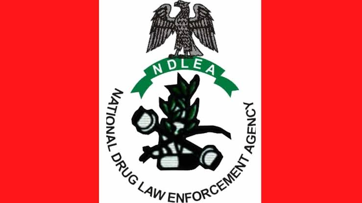 NDLEA seizes 709.9kg of illicit drugs in Kano NDLEA logo