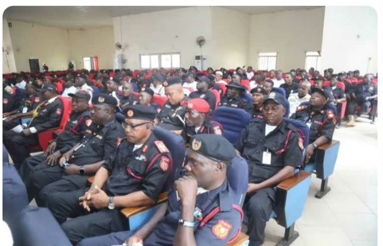 Kano: NHFSS received 37 complaints in June -Commander NHFSS