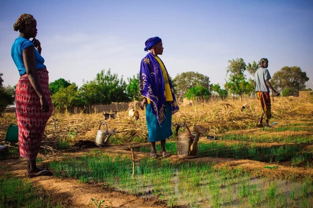 INTERNATIONAL DAY FOR RURAL WOMEN Rural women