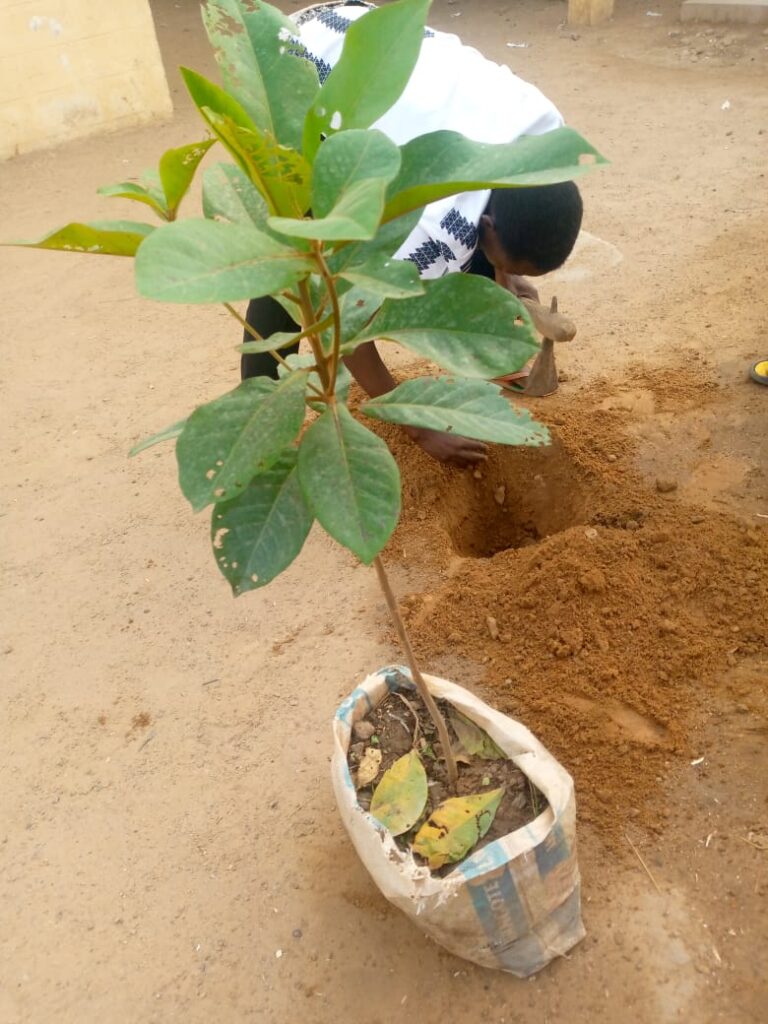 TUWAQSA:PROJECT MAKES TUDUN WADA GREEN TUWAQSA