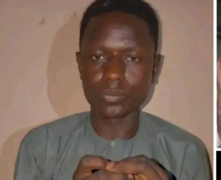 Take immediate action on Umar Umar Auwalu